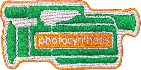 AW PHOTOSYNTHESIS VX PATCH