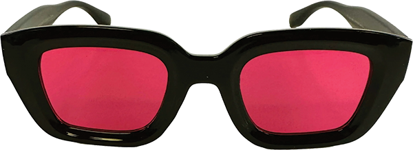 HAPPY HR CAMDENS 'S SUNGLASSES